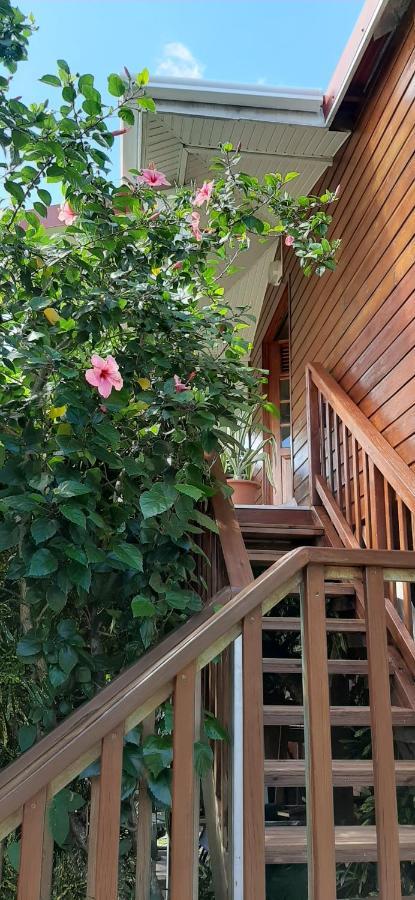 Bungalow Mangifera Proche De La Plage Le Diamant Exterior photo